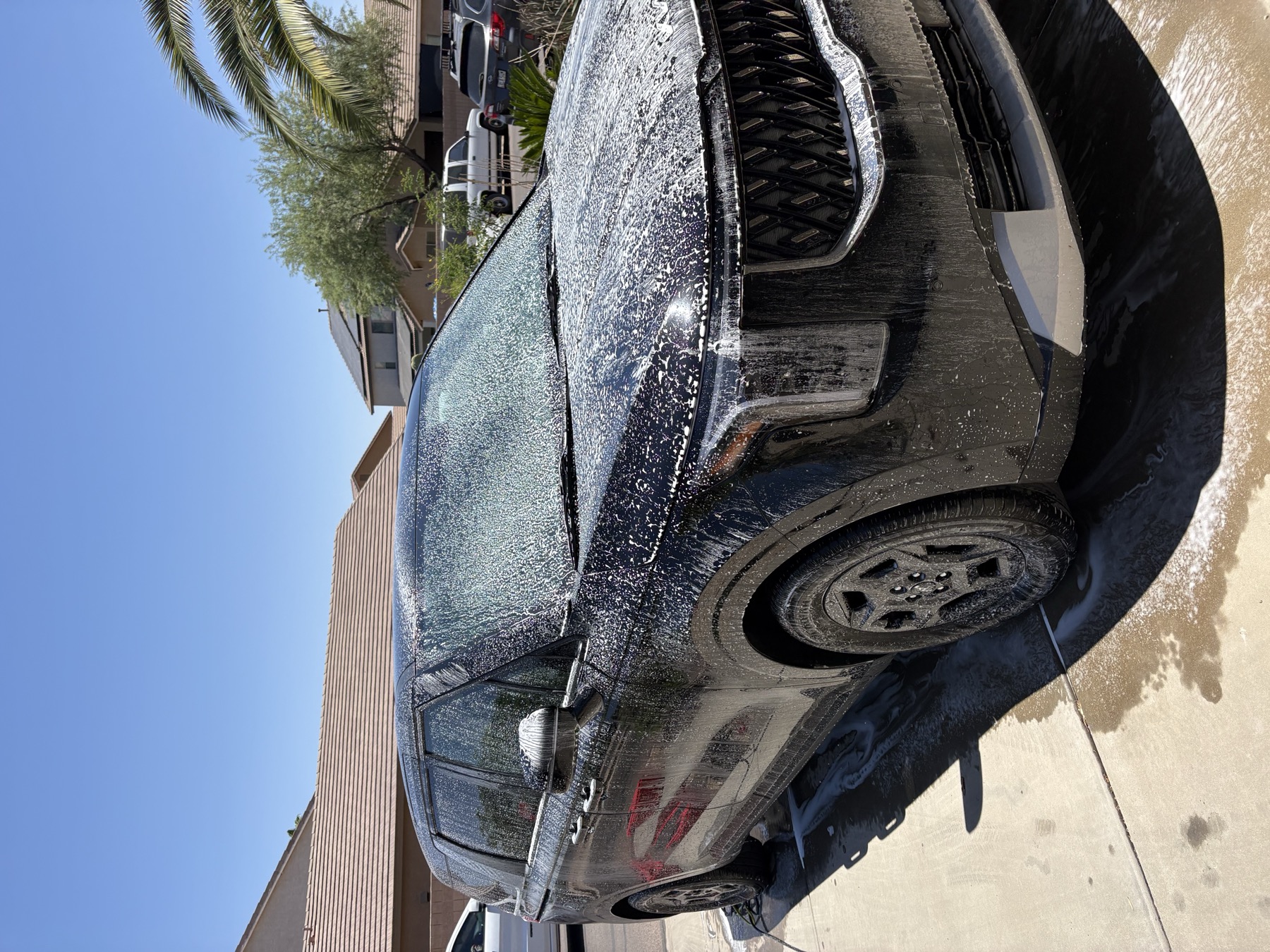 Detailed vehicle photo from Universal Detail
