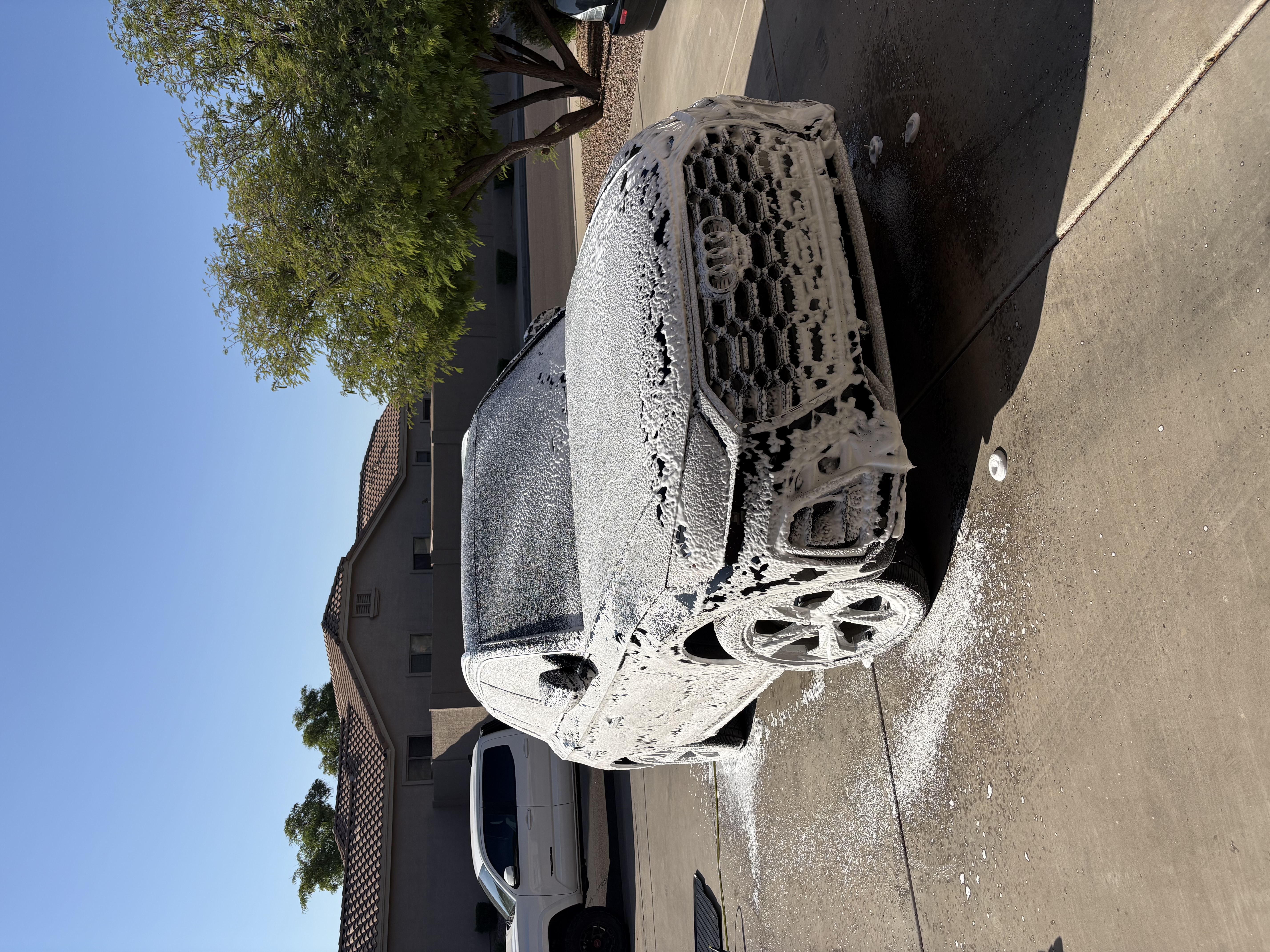 Black Audi SUV after an exterior detail
